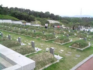 반일 사상으로 발굴되는 무덤 이것이 한국 국립묘지에서 행해지는가